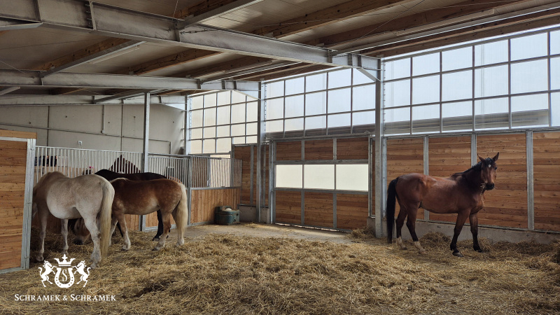 Offenstall mit Sattelkammer und mit Stallgasse an der Seite,  Lärchenholz Füllung, Wien, Österreich