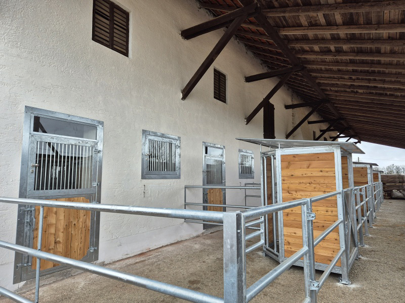 Paddocktüren, Fenster, Futterraufen,  Paddockumzäunung, Lärchenholz Füllung, München, Deutschland